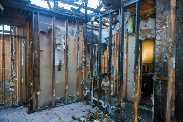 Professional Fire Damage Repair technician working in Despard, WV